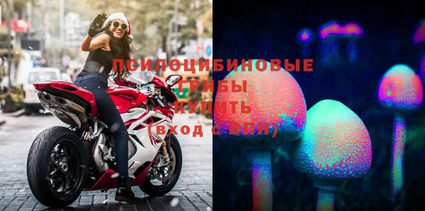 спиды Михайлов