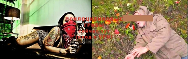 дмт Слюдянка
