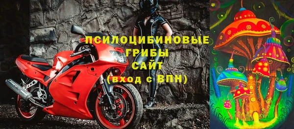 спиды Михайлов