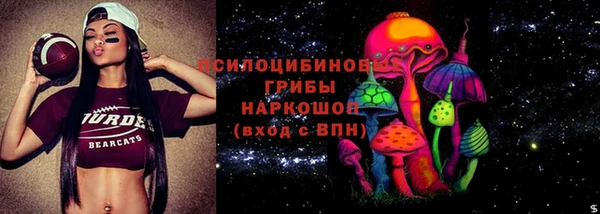 ГАЛЛЮЦИНОГЕННЫЕ ГРИБЫ Михайловск