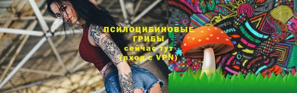 метадон Снежногорск