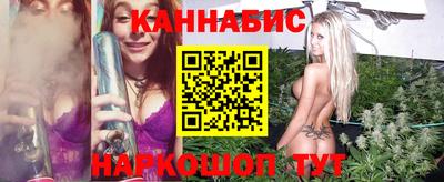 гашик Гусь-Хрустальный