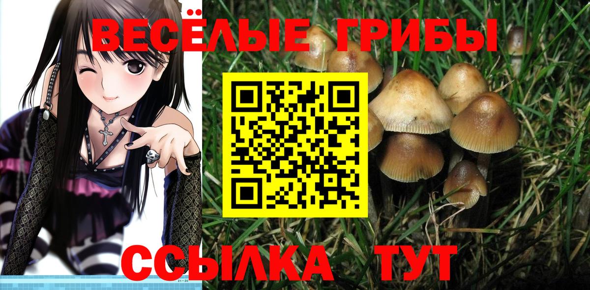 Галлюциногенные грибы мицелий  купить наркотик  Искитим  Вход с VPN 