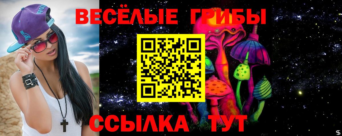 Галлюциногенные грибы Cubensis Искитим