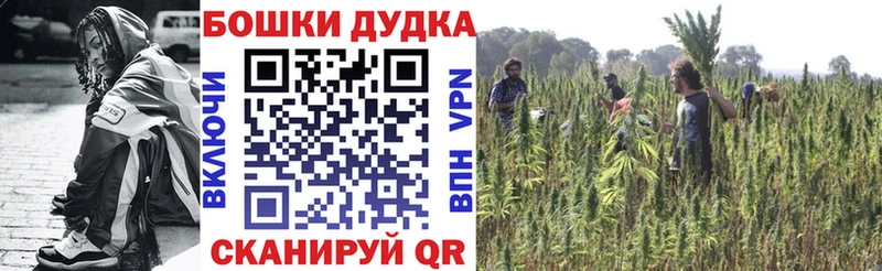 Бошки Шишки SATIVA & INDICA  магазин    Искитим 